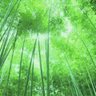 Фото профиля あんてな