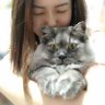 Profilbild von Michmeow