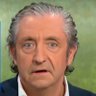 Profilbild von Jusep Pedrerol (parody)