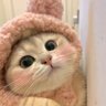 AaaWww profil fotoğrafı