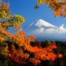 评看天下 profil fotoğrafı