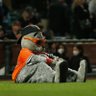 optomistic giants fan's profile picture