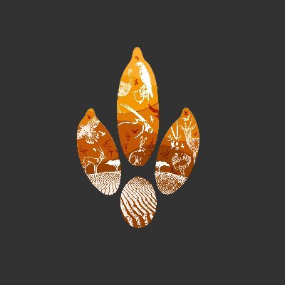 SRFSH_SA's profile picture