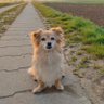 Profilbild von Ace_1804