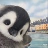 blackmankouqu's profile picture