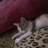 Фото профиля Mohamed 🔻🔻🔻🔻🔻🔻🔻