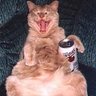 Unkie Drunkie's profile picture