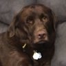 Maggie's profile picture
