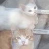Ekisde_XD profil fotoğrafı