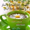 ابو علي 的头像