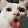 Poi profil fotoğrafı