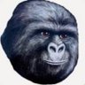 Bolovo fake profil fotoğrafı