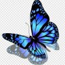 SN🦋🐕🐕♈🕉📚🌎☕✊🚩's profile picture