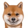 JoE liU's profile picture