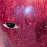 tupc's profile picture