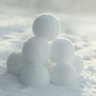Grey Snowball's profile picture