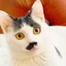 Profilbild von bill