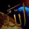 Profilbild von Mohamed Elmorsy