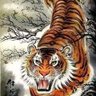 ĐINH THIỆN 的头像