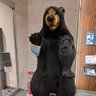 くまモン's profile picture