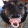 Profilbild von POTOCLOB