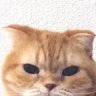 kimapon's profile picture