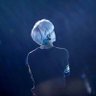 Фото профиля Our Pearl Aqua Moon