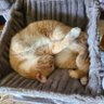 marbie profil fotoğrafı