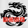 🐲ROGA🐉【ロガ】🤞✨'s profile picture