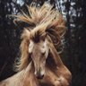 SALEH's profile picture
