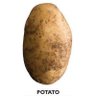 spud 的头像