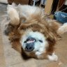@松本卓磨's profile picture