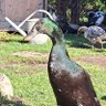 KaBri profil fotoğrafı