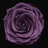 سامية بنت صالح's profile picture
