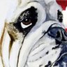Suzieqt17 🇺🇸 🇺🇸 ⭐️⭐️⭐️ profil fotoğrafı