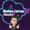 Salesforce Hacks 的头像