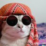 AminXBT profil fotoğrafı