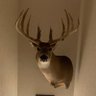 Oldenphat 🏹🦌🥩's profile picture