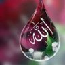 ♥️Almighty❤️Allah❤️ 的头像