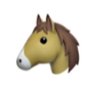 Profilbild von Ram.Ram.