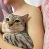 Hi 的头像