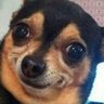 Johny Alkosebre's profile picture
