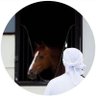 Mohammed Alshammari's profile picture