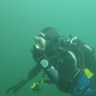 Alessandro Vox's profile picture