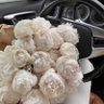 مَ 的头像