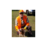 Bill Wall's profile picture