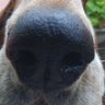 Aquelalá's profile picture