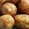 Profilbild von 🥔 POTATO 🥔