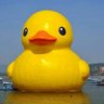 TheBigDuck22's profile picture
