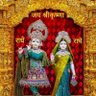 Фото профиля sharma R